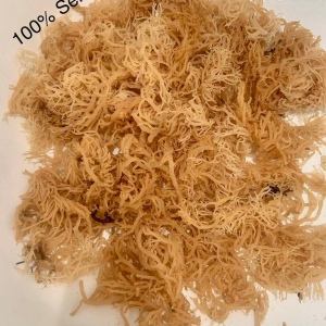 KMC Sea Moss Gold